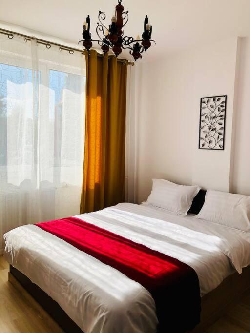 Joy City Victoriei 7g-9 Timişoara