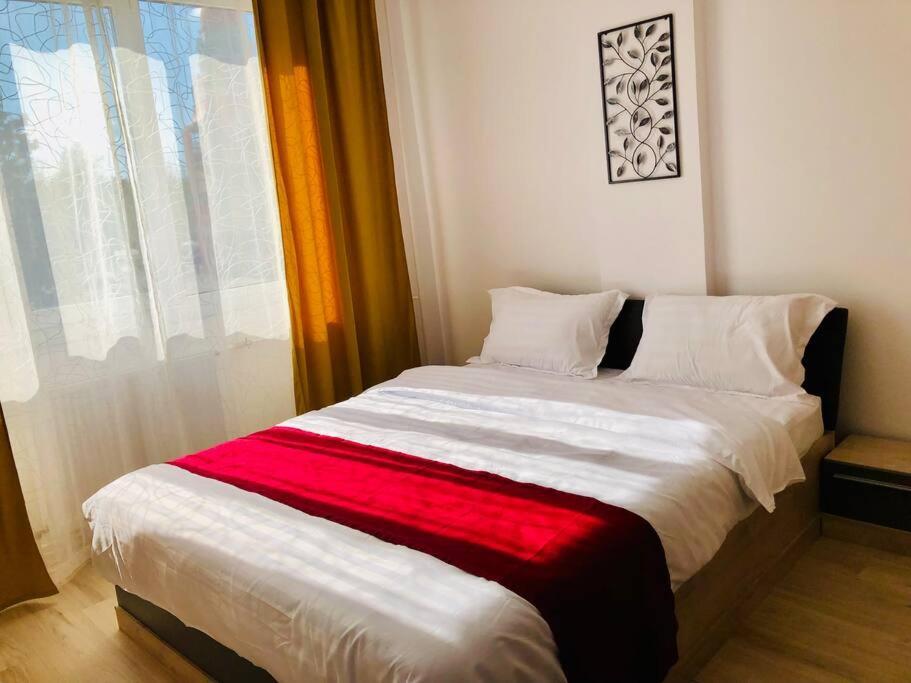 Joy City Victoriei 7g-9 Apartament *